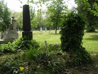 Helyben nem azonosítható